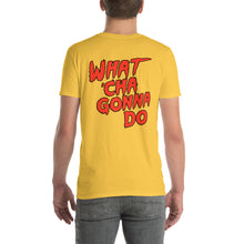 Load image into Gallery viewer, DreamFest Mania Tee